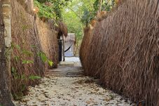 Alquiler por habitaciones en Tulum - Bungalow en  la Selva - Hotel Kin Tulum II